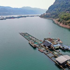 （新華全媒頭條&middot;圖文互動(dòng)）（1）生態(tài)美、產(chǎn)業(yè)興、文化昌&mdash;&mdash;長(cháng)江經(jīng)濟帶生態(tài)優(yōu)先、綠色發(fā)展見(jiàn)聞