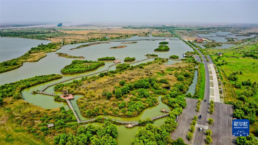 （新華全媒頭條&middot;圖文互動(dòng)）（3）&ldquo;讓我們一起向未來(lái)&rdquo;&mdash;&mdash;聆聽(tīng)習近平主席2022年新年賀詞