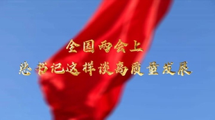 兩會(huì )上，總書(shū)記這樣談高質(zhì)量發(fā)展