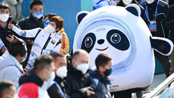 透過(guò)&ldquo;冰墩墩&rdquo;，感受可愛(ài)的中國