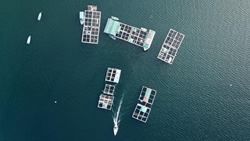 在漁排，遇見(jiàn)不一樣的香港