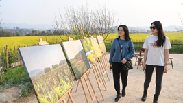 &ldquo;三園&rdquo;&ldquo;三場(chǎng)&rdquo;融&ldquo;三生&rdquo; 長(cháng)江上游最大江心島打造&ldquo;生態(tài)大課堂&rdquo;