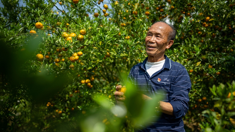 戰山斗山，一代又一代&ldquo;石漠愚公&rdquo;書(shū)寫(xiě)傳奇