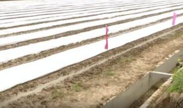 農資儲備充足 機械化省人力&mdash;&mdash;疫情下的春耕觀(guān)察