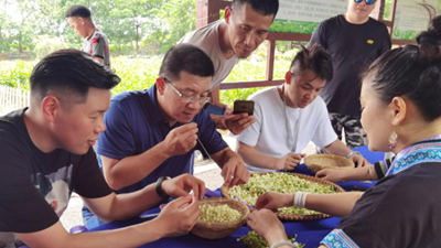 走出島內&ldquo;悶經(jīng)濟&rdquo;困境，&ldquo;登陸&rdquo;成重要選擇