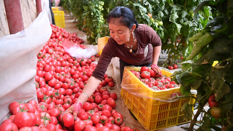 春天里，我們一起譜寫(xiě)振興新歌