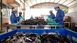 中醫藥發(fā)揮獨特優(yōu)勢&ldquo;防、治、康&rdquo;全程助力抗疫