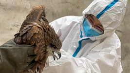 &ldquo;給動(dòng)物一個(gè)溫暖的家，用愛(ài)照亮前行的路&rdquo;