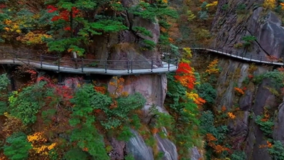 安徽九華山：霜染丹林，感受自然之美