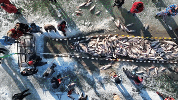 吉林：乘&ldquo;冬&rdquo;風(fēng)掀起發(fā)展新熱潮