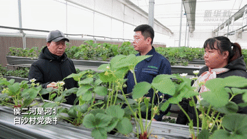 侯二河：當好鄉村振興&ldquo;排頭兵&rdquo;