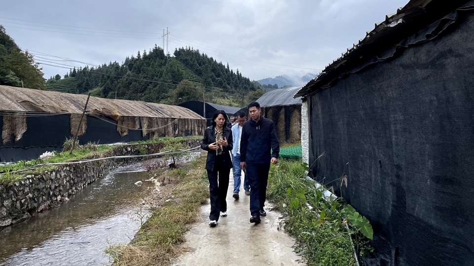 楊遠艷：到群眾中去、講群眾的話(huà)、想群眾的事