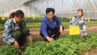 王銀香：農民的事，就是我的事