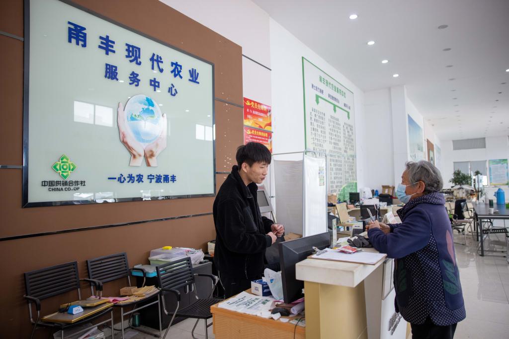 浙江寧波:購買(mǎi)農資備春耕