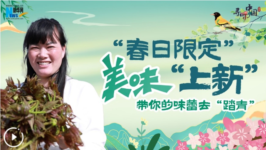 &ldquo;春日限定&rdquo;美味&ldquo;上新&rdquo; 帶你的味蕾去&ldquo;踏青&rdquo;