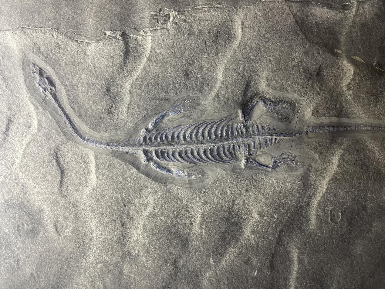 貴州科普研學(xué)活動(dòng)——走進(jìn)穿越時(shí)空的對話(huà)