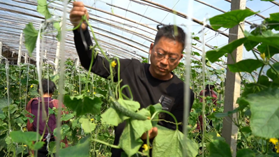 點(diǎn)亮自強自立&ldquo;心燈&rdquo;！聽(tīng)聽(tīng)這些殘疾人的創(chuàng  )業(yè)就業(yè)故事