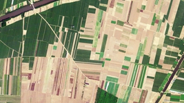 衛星瞰&ldquo;田&rdquo;丨麥田勾勒出大地亮眼的掌紋