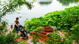 告別大拆大建，老城煥發(fā)新生&mdash;&mdash;北京老城正在發(fā)生的變遷