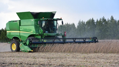 畝產(chǎn)564.81斤！記者親歷大豆高產(chǎn)誕生