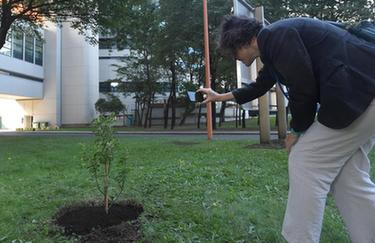 種下&ldquo;太空苗&rdquo;