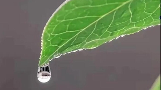 在中國古詩(shī)詞里，尋找北京冬奧的&ldquo;節氣密碼&rdquo;