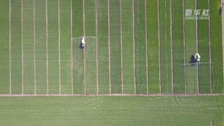 如何讓假劣化肥不再坑農害農？