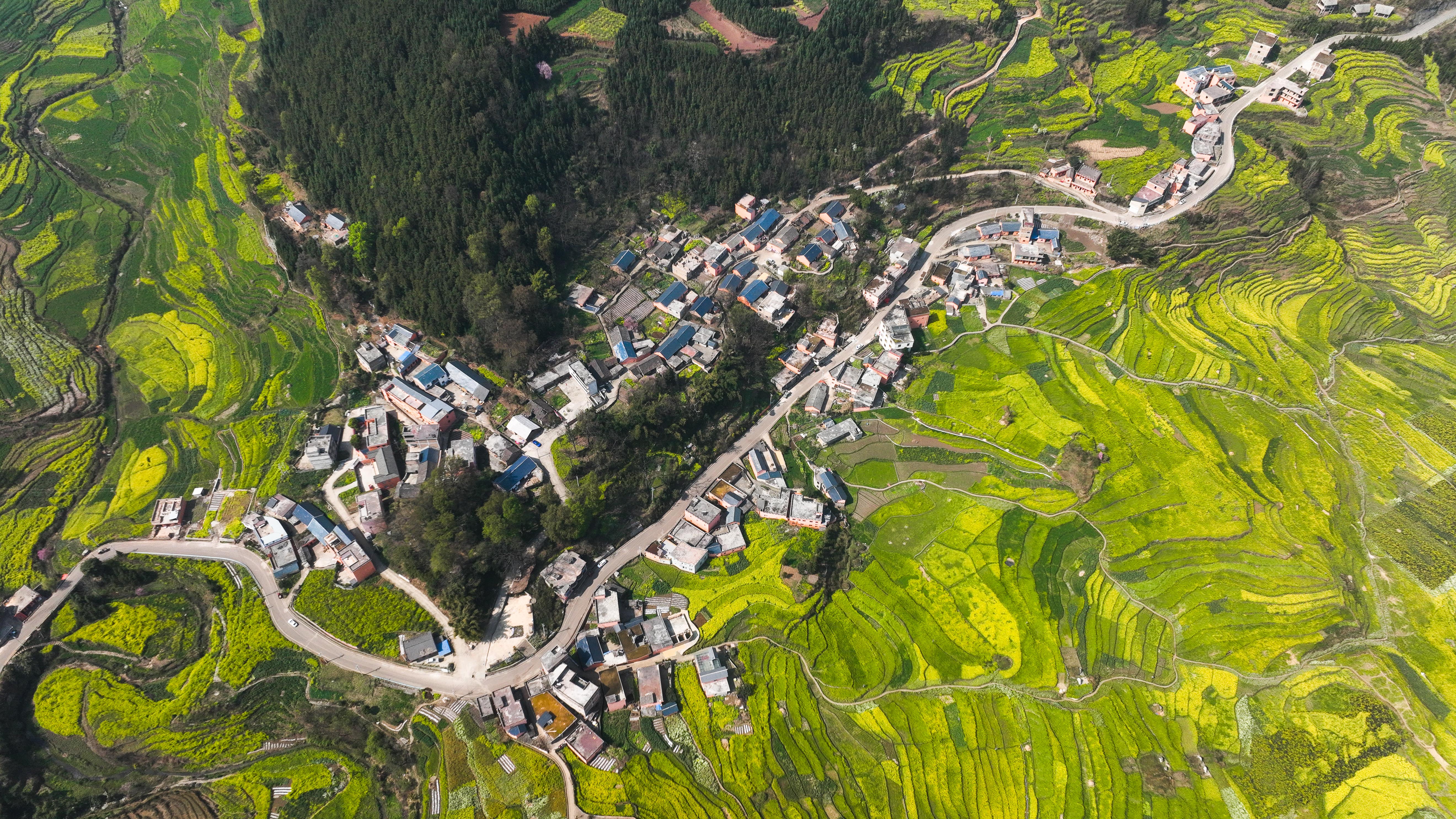 新華社社評：踔厲奮發(fā)開(kāi)新局