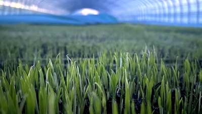 端牢&ldquo;中國飯碗&rdquo;，&ldquo;北大倉&rdquo;想這么干