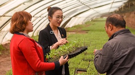 青春，在一線(xiàn)綻放芳華&mdash;&mdash;&ldquo;最美基層高校畢業(yè)生&rdquo;速寫(xiě)