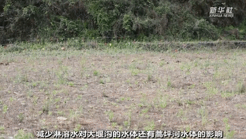 曾經(jīng)被&ldquo;遺棄&rdquo;的它們 搬到新家啦！