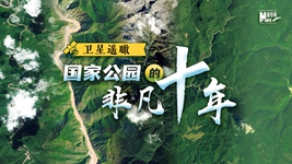 衛星遙瞰，國家公園的非凡十年