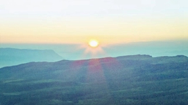 黨的二十大代表談堅定不移走中國特色社會(huì )主義道路