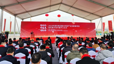 上海浦東：打好&ldquo;三張牌&rdquo; 奮力抓先機