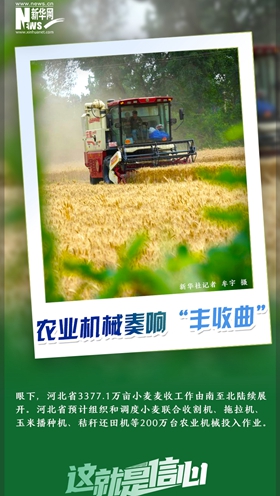 這就是信心｜好一派豐收景象！