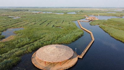 白洋淀里的環(huán)保&ldquo;黑科技&rdquo;