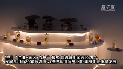 陜西山陽(yáng)：朵朵食用菌 撐起&ldquo;致富傘&rdquo;