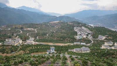 橙香富山鄉&mdash;&mdash;一個(gè)三峽村莊的綠色&ldquo;蝶變&rdquo;