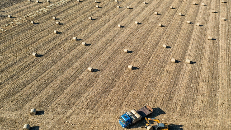 秸稈離田 科學(xué)儲糧 吉林秋收已超九成