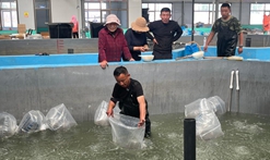 甘肅景泰：黃土高原水上春耕正當時(shí)