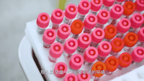 新華網(wǎng)帶你探方艙實(shí)驗室