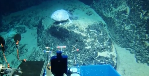 創(chuàng  )新源動(dòng)力：我國深?？瓶歼M(jìn)入萬(wàn)米時(shí)代