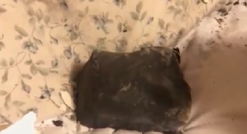 意外！人在家中睡 隕石天上來(lái)