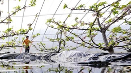 逐夢(mèng)新征程 奮進(jìn)向未來(lái)&mdash;&mdash;2022新開(kāi)局看&ldquo;筑夢(mèng)中國&rdquo;新跨越