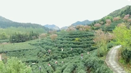 萬(wàn)象&ldquo;耕&rdquo;新！碼住人間四月天