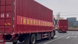 那只&ldquo;跳進(jìn)&rdquo;愛(ài)心蔬菜包的手機咋樣啦？請聽(tīng)刷屏&ldquo;奇遇&rdquo;后續&hellip;&hellip;