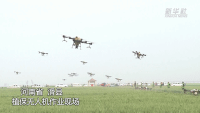 無(wú)人機飛防&ldquo;蟲(chóng)口奪糧&rdquo; 護航夏糧保豐收
