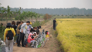 田園變&ldquo;游園&rdquo;，活力鄉村引客來(lái)