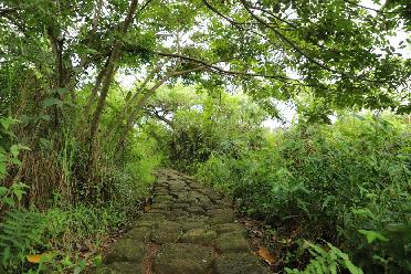 盧旺達首都基加利獲&ldquo;國際濕地城市&rdquo;認證